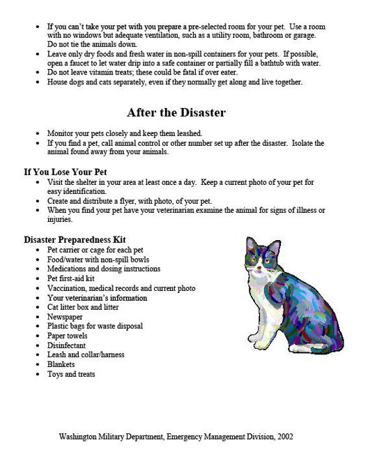 dogsandcats-pg2.jpg